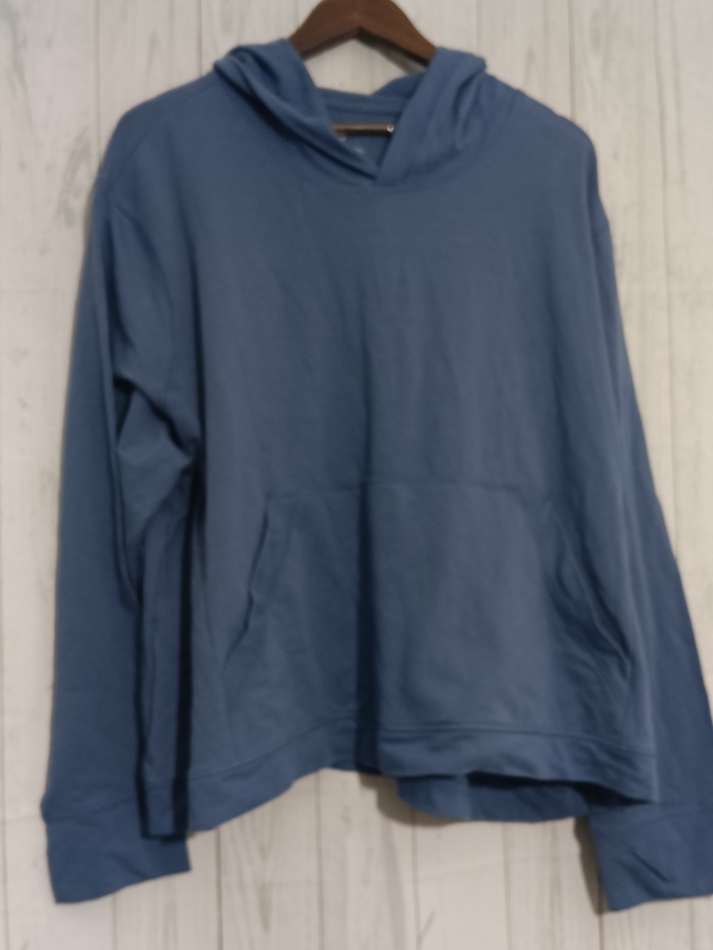 All in Motion Blue Pullover Hoodie - 2X